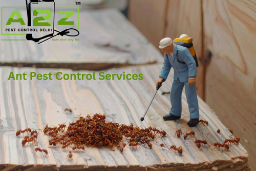 Ants Pest Control Services