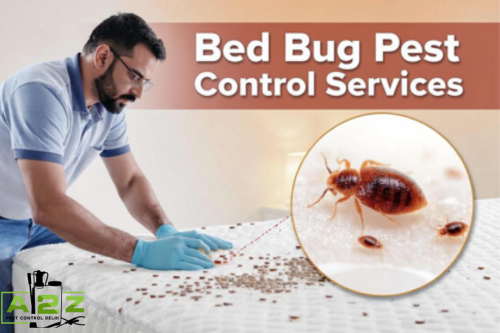 Bed Bug Pest Control Services