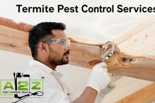 Termite Pest Control Services